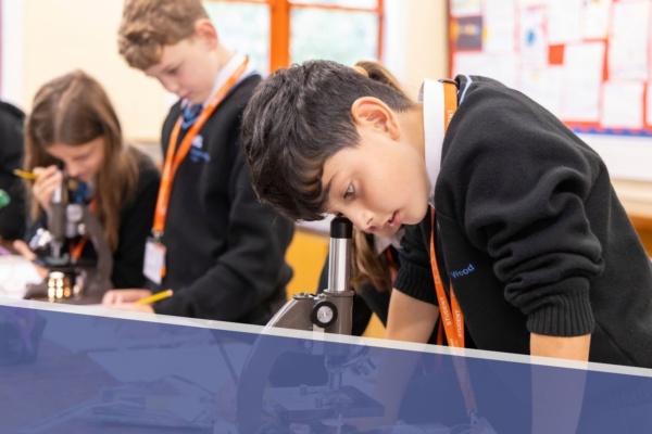 science at highgate wood school